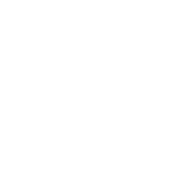 Notas Útiles de Cada Videollamada