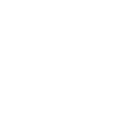 Notas Útiles de Cada Videollamada